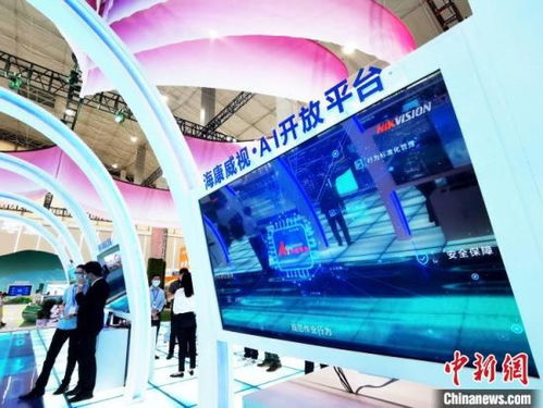 青海點對點助企暖企，春風行動掀起展覽展示服務熱潮